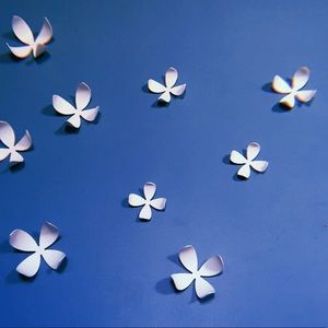 Meet your Posher, Tatum